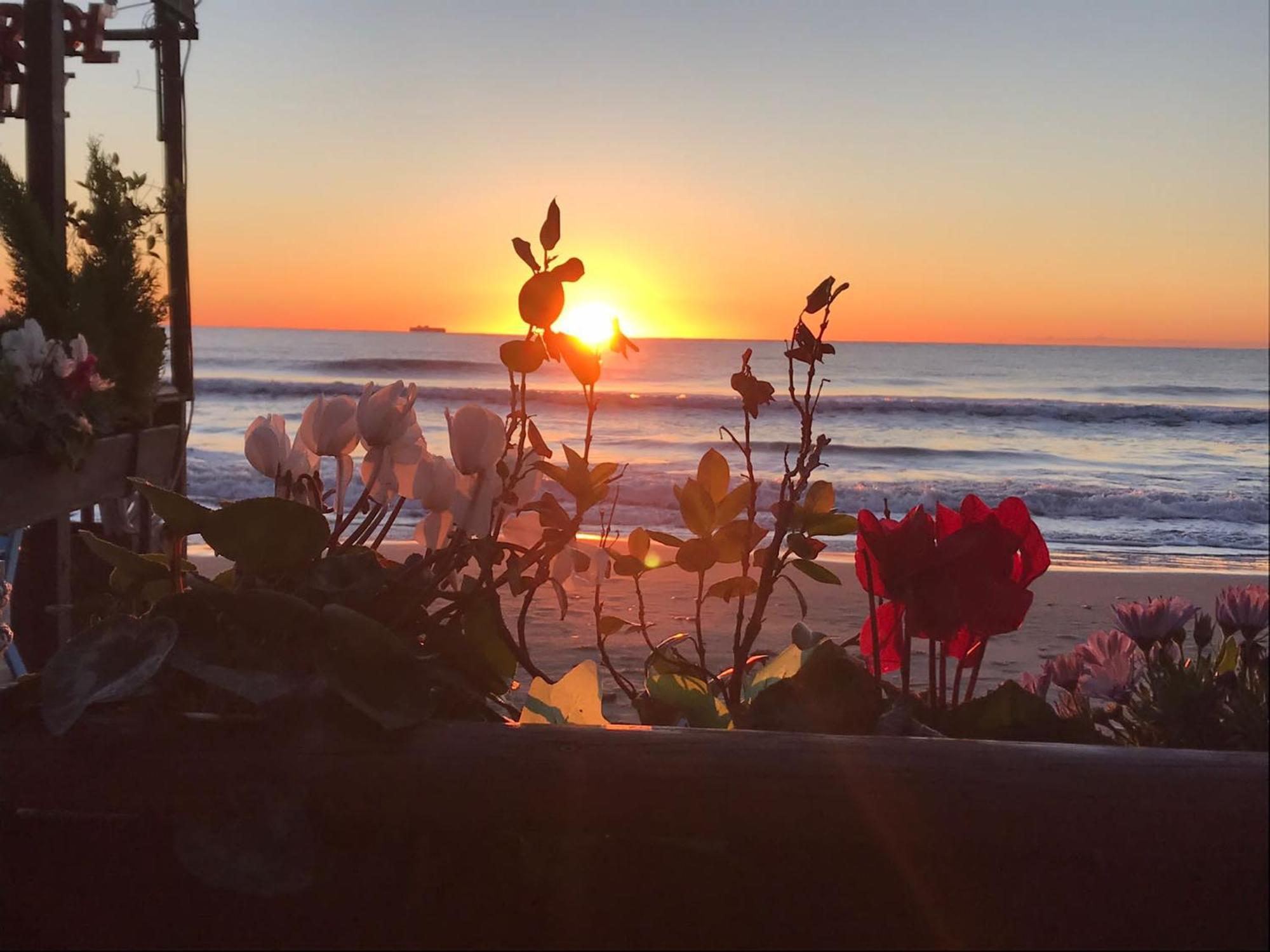 Appartamento Fronte Mare Con Terrazzo Zio Alassio Exterior foto